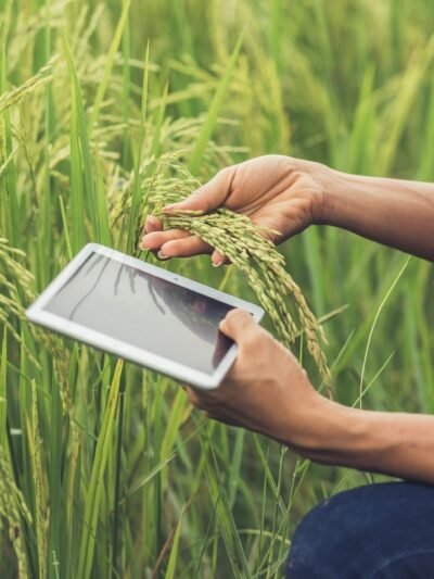 Tecnología en Agricultura