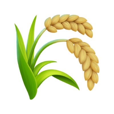 AGROM PLUS