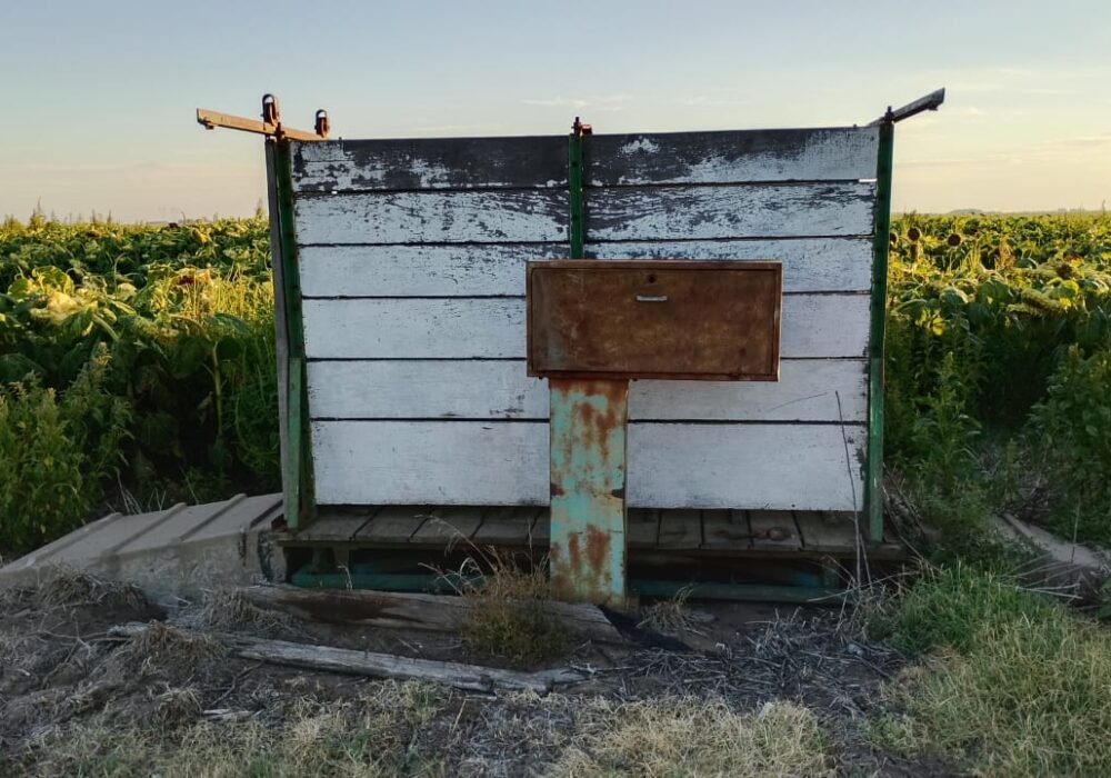 Balanza con Plataformas