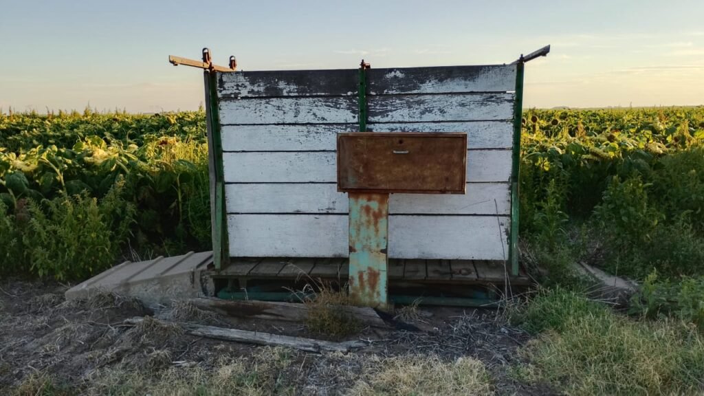 Balanza con Plataformas