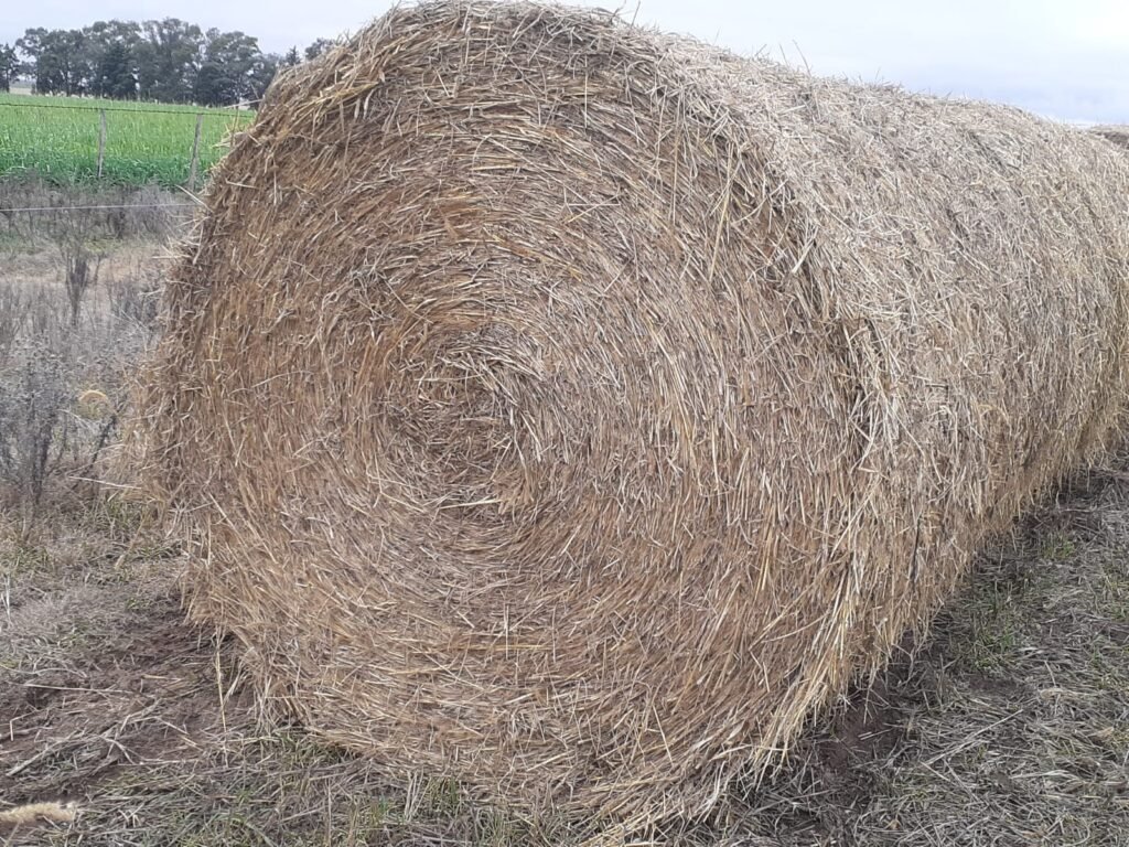 60 Rollos de Moha | Precio por Unidad