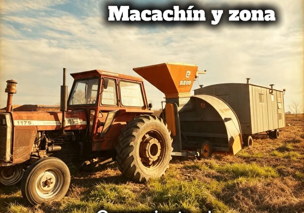 Servicio de Embolsado