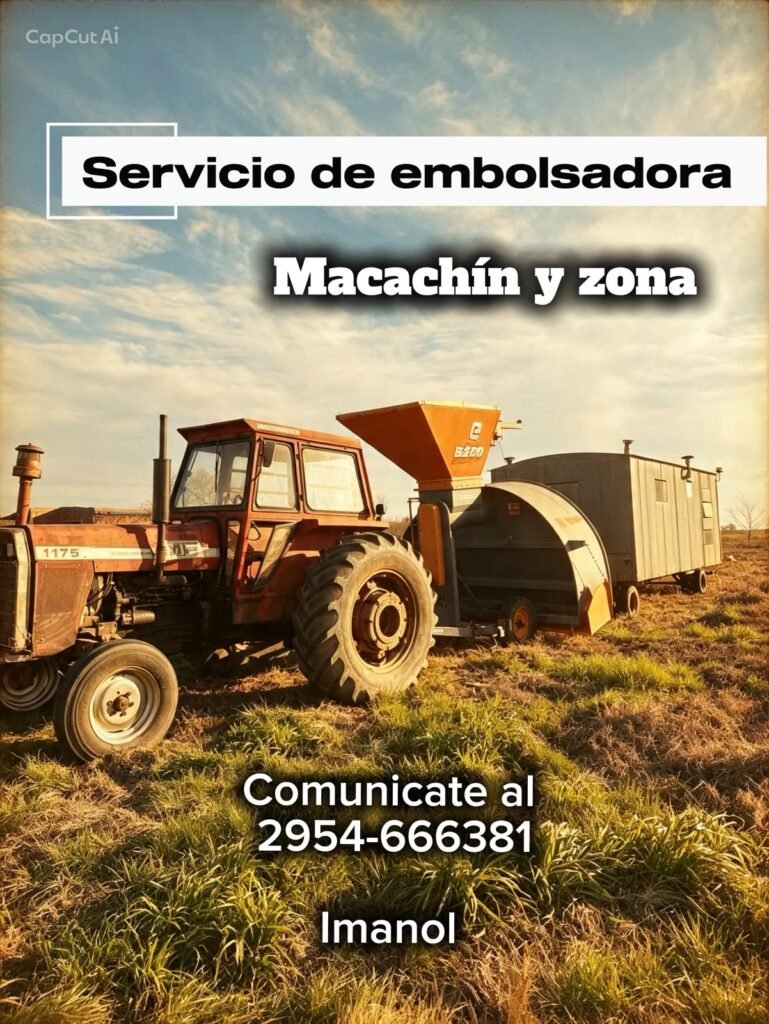 Servicio de Embolsado