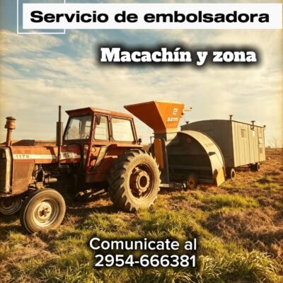Imanol